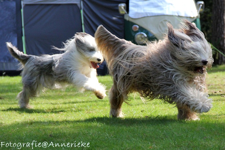 Nienke en Dobby